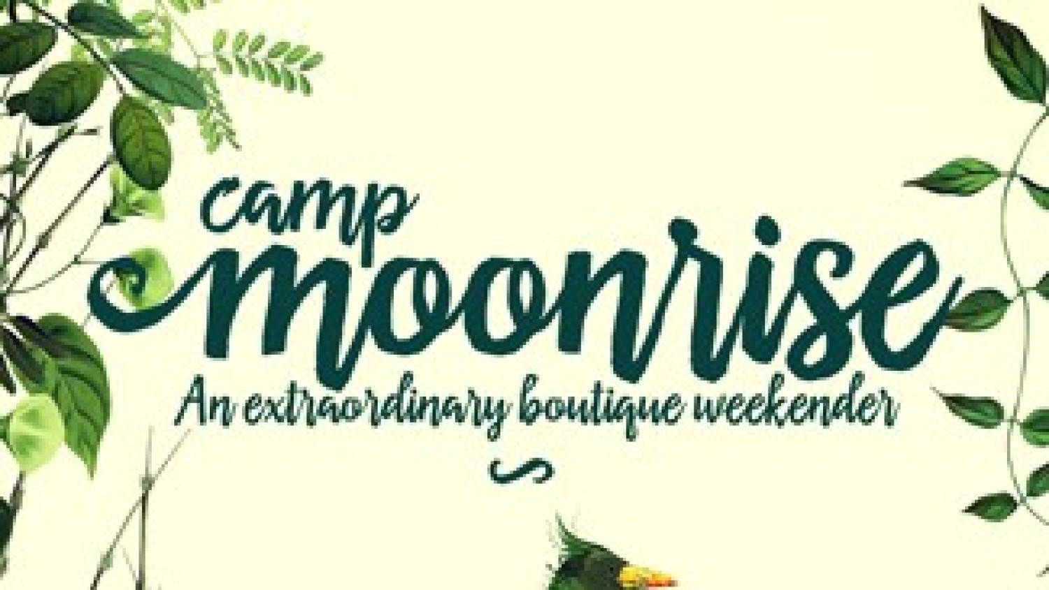 Party nieuws: Festival Camp Moonrise maakt programma compleet